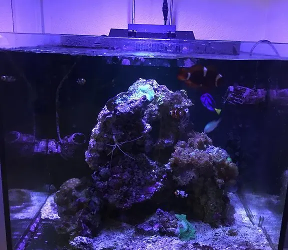 Otel Nouveau Park Paris